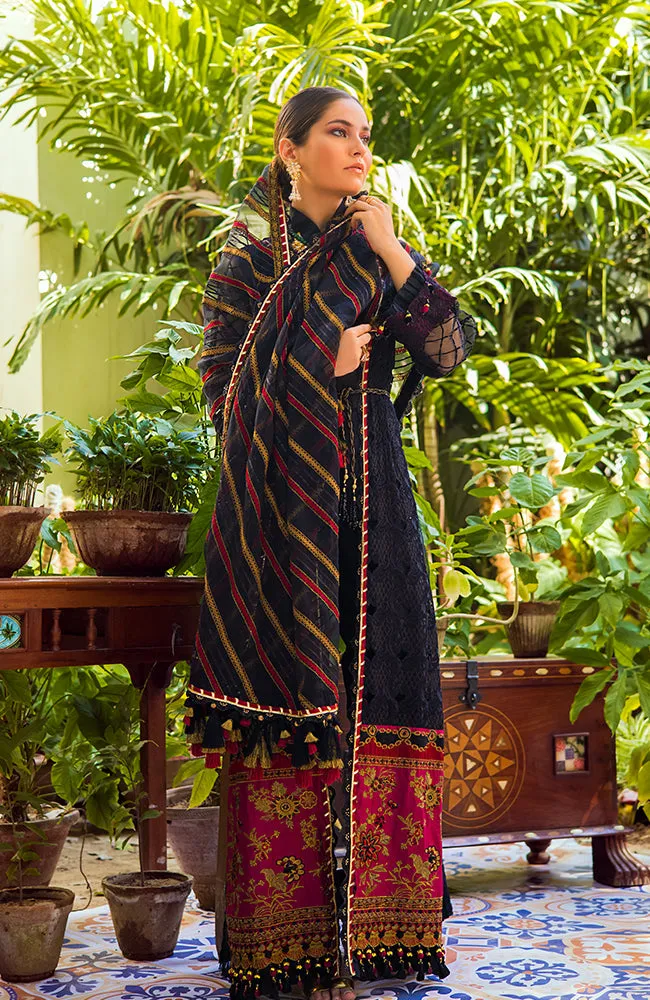Al Zohaib Formals Wedding Edition – AZF-WD'22 06 "𝓔𝓫𝓸𝓷𝔂"
