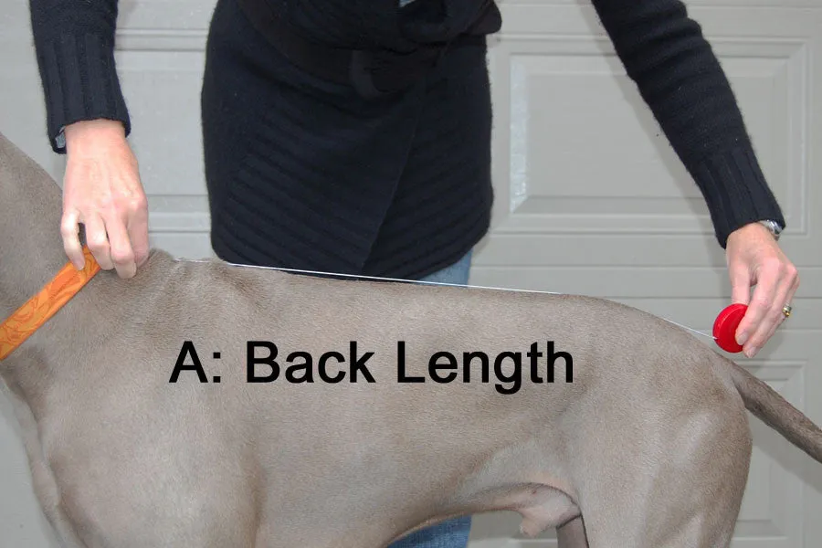 Large Dog Rain Coat - "Rain Slicker" by Chilly Dogs - Standard Size FINAL SALE