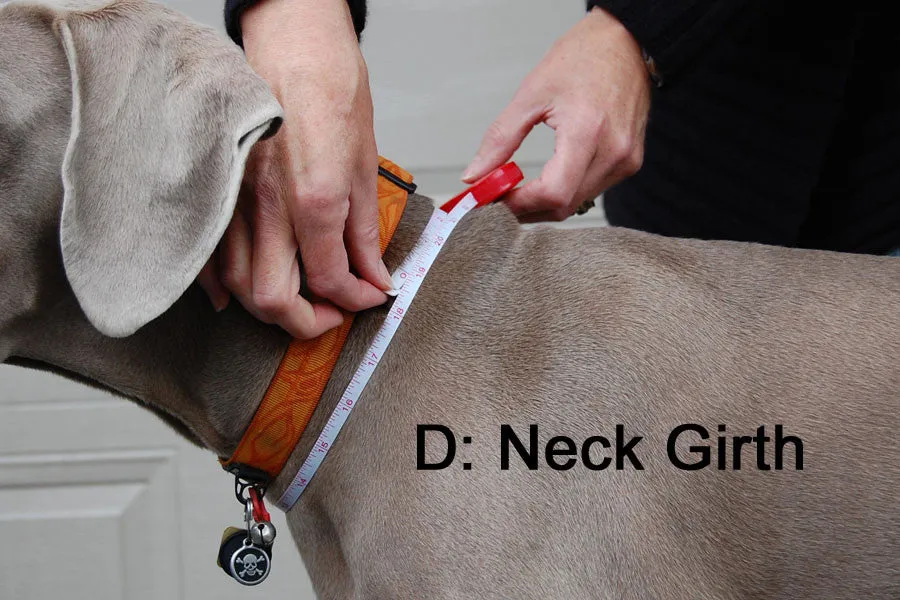 Large Dog Rain Coat - "Rain Slicker" by Chilly Dogs - Standard Size FINAL SALE