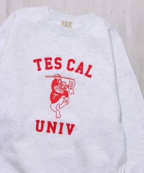 TES COLLEGE EMB BIG SWEAT / クルーネックスウェット