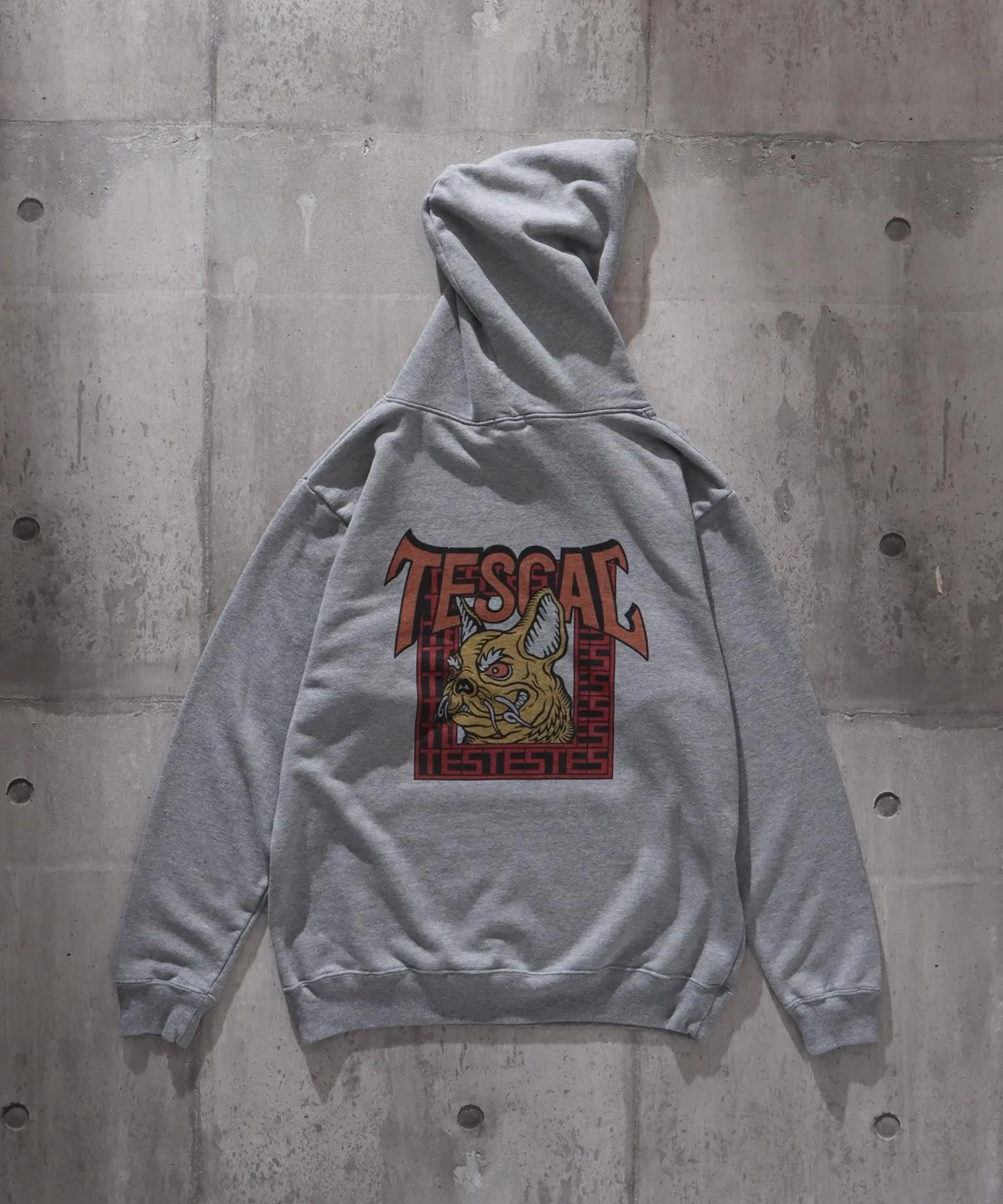 TES SKATE BUHI SWEAT PARKA / スウェットパーカー