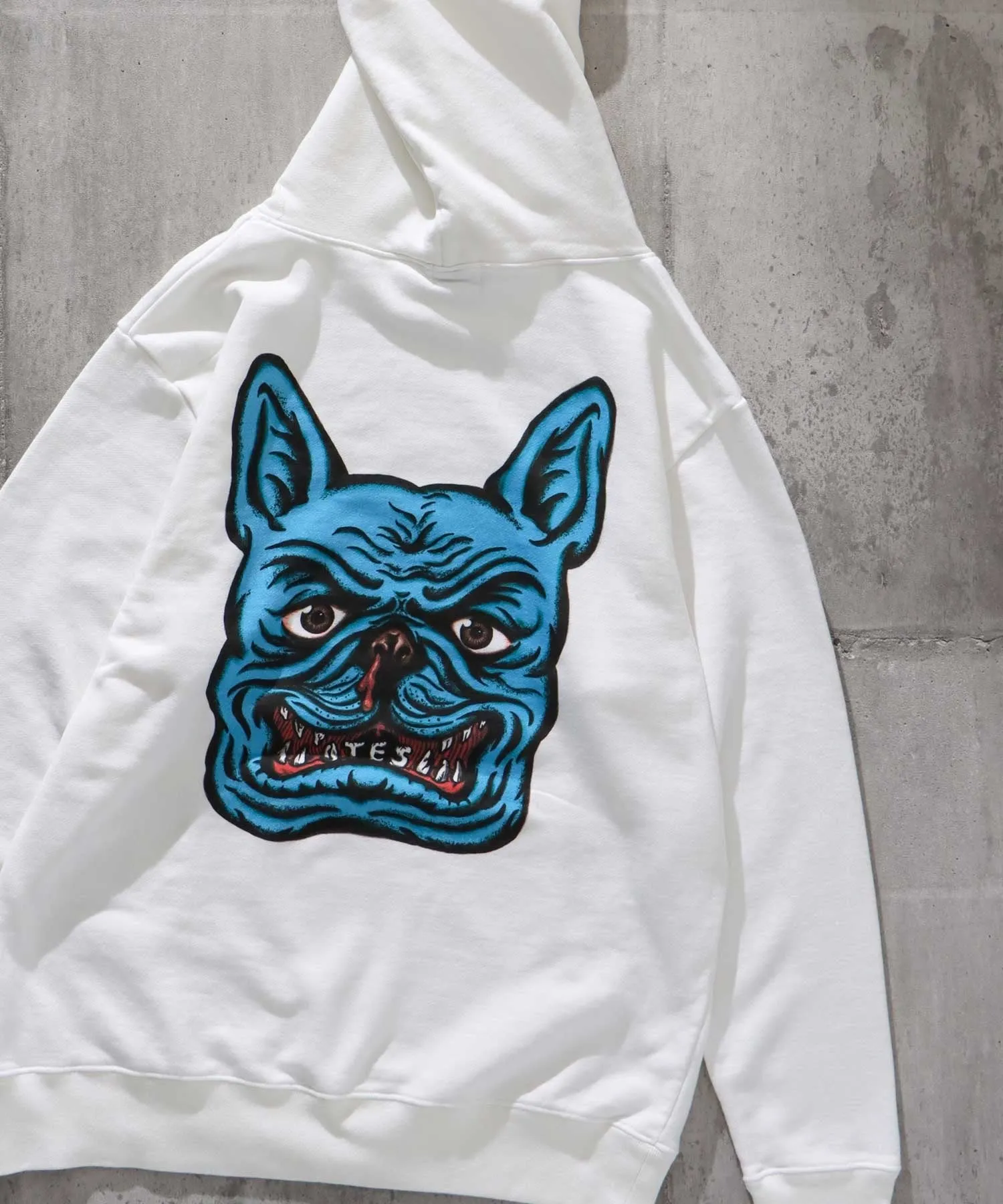 TES SKATE HOLIC BUHI SWEAT PARKA / スウェットパーカー