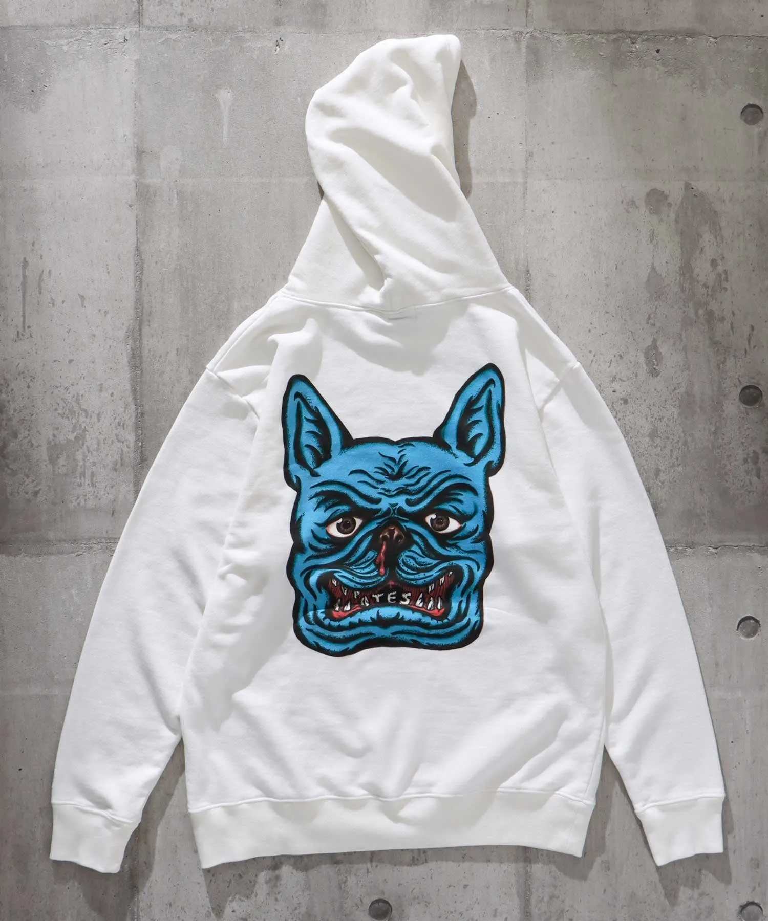 TES SKATE HOLIC BUHI SWEAT PARKA / スウェットパーカー